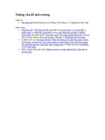 NHỮNG VẤN ĐỀ CƠ BẢN NHẤT VỀ MÔI TRƯỜNG Ở VIỆT NAM