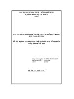 Đề tài Nghiên cứu ứng dụng thuật giải di truyền để tìm kiếm thông tin trên văn bản