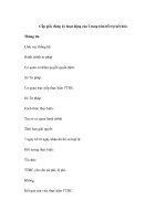 Cấp giấy đăng ký hoạt động của Trung tâm hỗ trợ kết hôn pdf