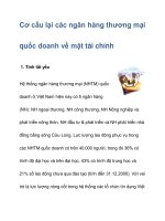 Cơ cấu lại các ngân hàng thương mại quốc doanh về mặt tài chính pps