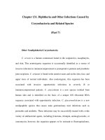 Chapter 131. Diphtheria and Other Infections Caused by Corynebacteria and Related Species (Part 7) pdf