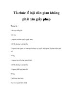 Tổ chức lễ hội dân gian không phải xin giấy phép ppsx