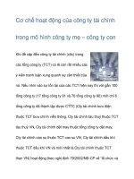 Cơ chế hoạt động của công ty tài chính trong mô hình công ty mẹ ppt