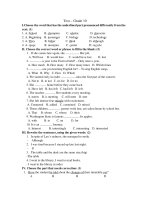 Đề thi HK II Tiếng anh 10