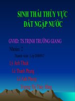 Đất ngập nước potx