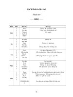 TUẦN 34 LỚP 4 CKTKN