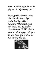 Virus EBV là nguyên nhân gây ra các bệnh ung thư? ppt