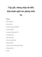 Cấp giấy chứng nhận đủ điều kiện hành nghề cho phòng chẩn trị doc