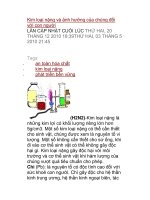 Kim loại nặng và ảnh hưởng của chúng đối với con người doc