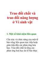 Trao đổi chất và trao đổi năng lượng ở Vi sinh vật ppt