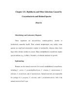 Chapter 131. Diphtheria and Other Infections Caused by Corynebacteria and Related Species (Part 6) doc