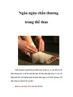 Ngăn ngừa chấn thương trong thể thao potx