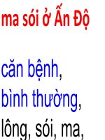 di truyền học ma sói ở ấn độ