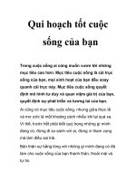Qui hoạch tốt cuộc sống của bạn pdf