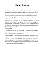 Viêm da do tụ cầu pot