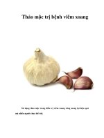 Thảo mộc trị bệnh viêm xoang potx