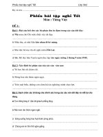 kiem tra cuoi nam tieng viet