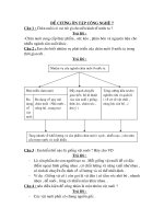 đề thi văn kì 2