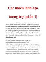 Các nhóm lãnh đạo tương trợ (phần 1) potx