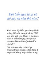 Đột biến gen là gì và nó xảy ra như thế nào? pdf