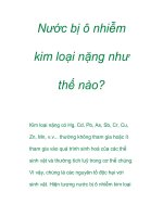 Nước bị ô nhiễm kim loại nặng như thế nào? doc