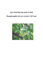 Quy trình tổng hợp quản lý bệnh HuangLongbin trên cây có múi ở Việt Nam pps