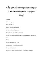 Cấp lại Giấy chứng nhận đăng ký kinh doanh hợp tác xã (bị hư hỏng) pptx