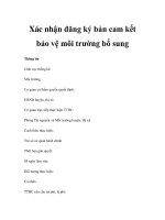 Xác nhận đăng ký bản cam kết bảo vệ môi trường bổ sung ppt