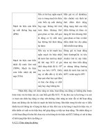 Bộ phun xăng Điện tử - EFI part 24 pptx