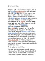 Enzyme giới hạn pdf