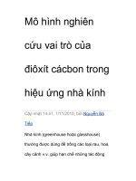 Mô hình nghiên cứu vai trò của điôxít cácbon trong hiệu ứng nhà kính t ppt