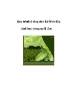 Quy trình ủ tăng sinh khối bù đắp sinh học trong nuôi tôm ppt