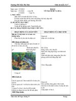 bai soan mi thuat tuan 33