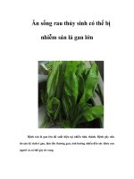 Ăn sống rau thủy sinh có thể bị nhiễm sán lá gan lớn pot