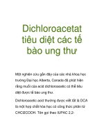 Dichloroacetat tiêu diệt các tế bào ung thư docx