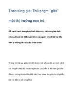 Thao túng giá: Thủ phạm 