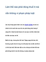 Làm thế nào phải đóng thuế ít mà vẫn không vi phạm pháp luật pdf