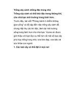 Trồng cây cảnh chống độc trong nhà pdf