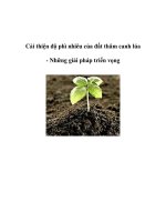 Cải thiện độ phì nhiêu của đất thâm canh lúa - Những giải pháp triển vọng pptx