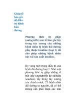 Ghép tế bào gốc để điều trị bệnh tiểu đường doc