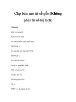 Cấp bản sao từ sổ gốc (Không phải từ sổ hộ tịch) pot