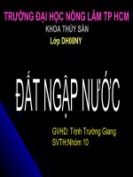 Hệ sinh thái ĐNN pptx