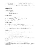 2 DE THI HOC KY II TOAN 11 CO DA CHI TIET