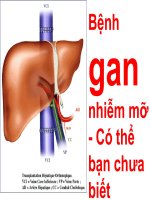 bệnh gan nhiễm mỡ có thể bạn chưa biết