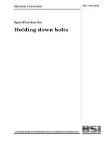 Specification for Holding down bolts docx