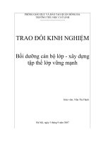 Bồi dưỡng cán bộ lớp xd tập thể vững mạnh