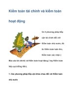Kiểm toán tài chính và kiểm toán hoạt động docx