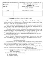 Đề thi Tiếng Việt Cuối Kì I- Năm học: 2009-2010