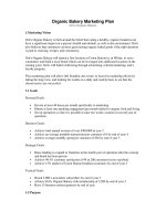 Organic Bakery Marketing Plan docx