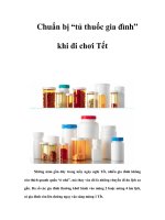 Chuẩn bị “tủ thuốc gia đình” khi đi chơi Tết pptx